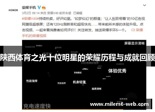 陕西体育之光十位明星的荣耀历程与成就回顾