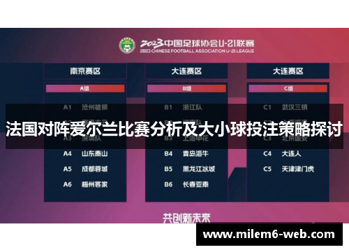 法国对阵爱尔兰比赛分析及大小球投注策略探讨